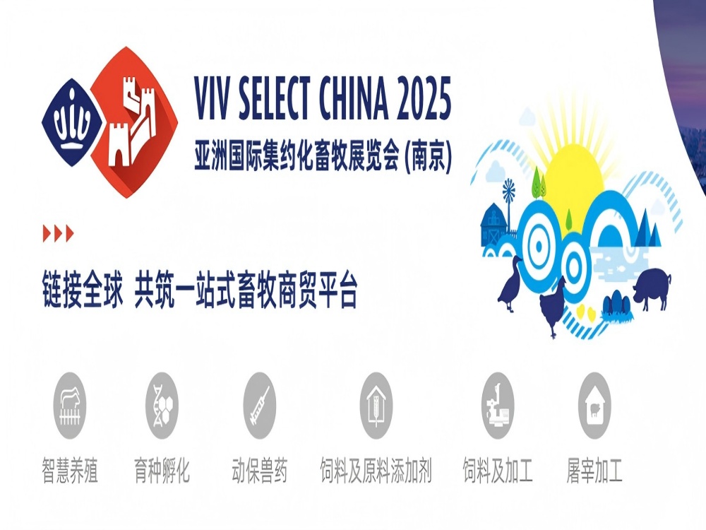 2d342cd8ebfabe5868c25638df047df3.jpg