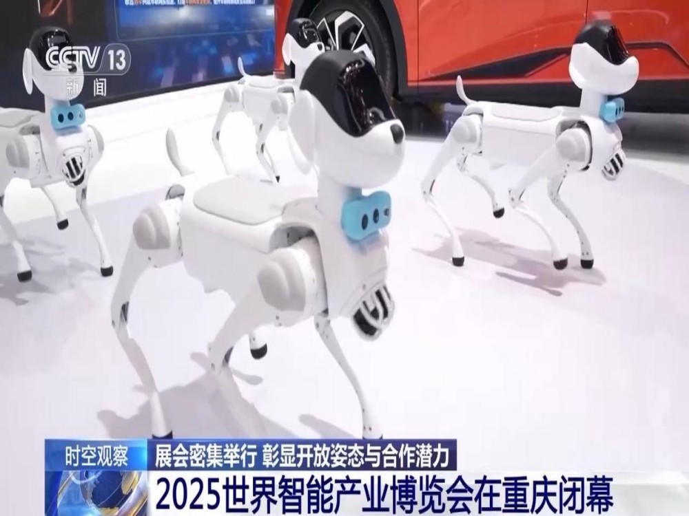 图片10.jpg